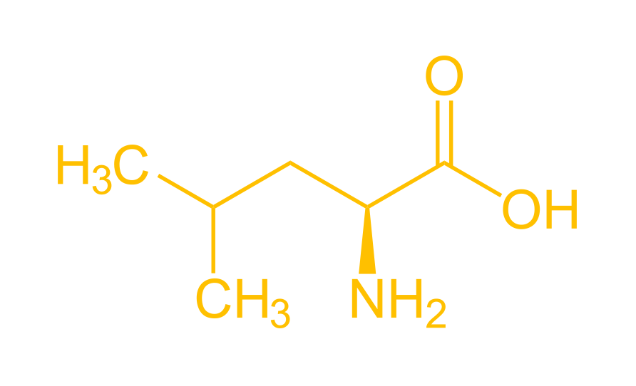 Amino acid (Leucin)