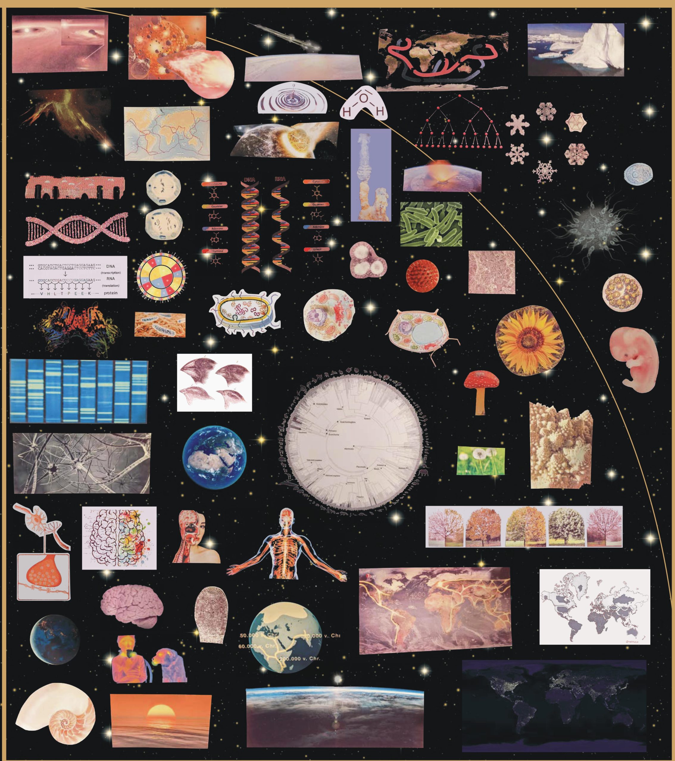 the-one.world ~ Earth & Life