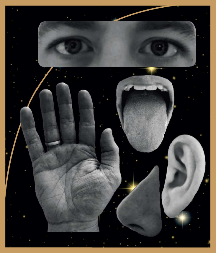 the-one.world ~ Senses & Awareness