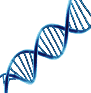 DNA