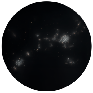 Local Cluster