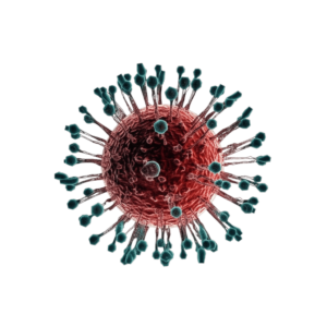 Virus