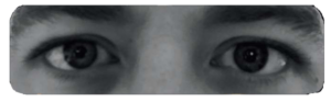 Vision